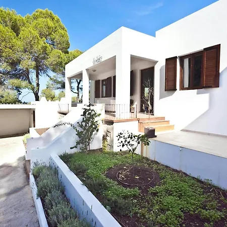 Beachfront With Saltwater Pool סן חוזה דה סא טלאיה